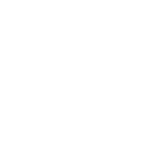 Logo DIT LIV - din løsning hvidt Hvidt logo til DIT LIV -din løsning